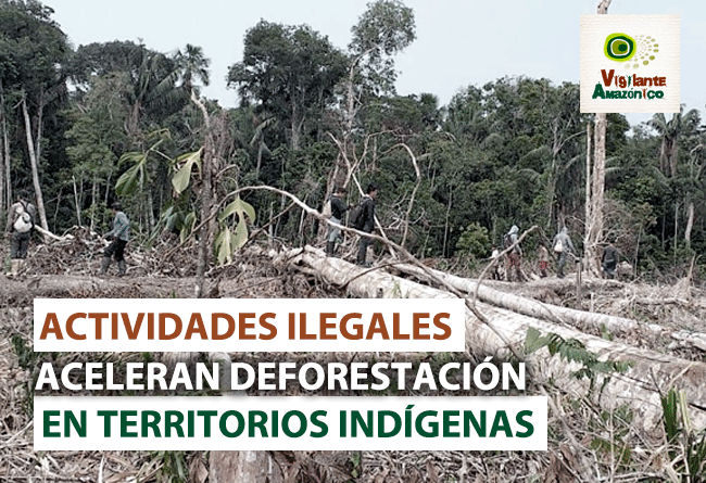 Actividades-ilegales-aceleran-deforestacion-en-territorios-indigenas