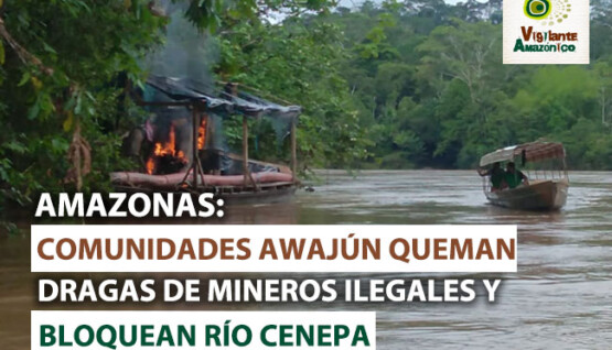 Comunidades-awajun-del-Cenepa-queman-dragas-de-mineria-ilegal-y-bloquean-rio-Cenepa