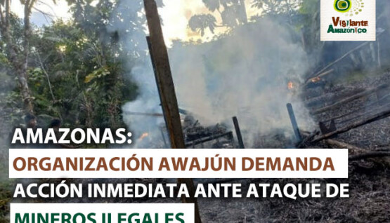 Organizacion-awajun-demanda-accion-inmediata-ante-ataque-de-mineros-ilegales