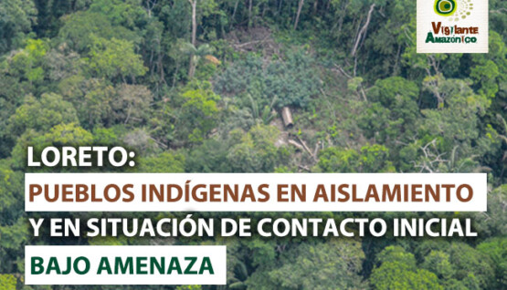 Pueblos-en-aislamiento-y-contacto-inicial-peligran