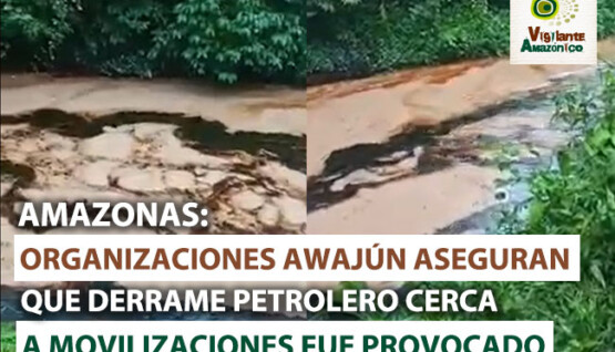 Organizaciones-indigenas-aseguran-que-derrame-cerca-a-movilizaciones-fue-provocado-por-terceros