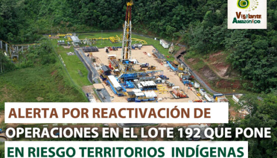 Alerta-por-reactivacion-de-lote-192