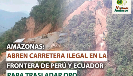 Abren-carretera-ilegal-en-la-frontera-de-Peru-y-Ecuador-para-trasladar-oro