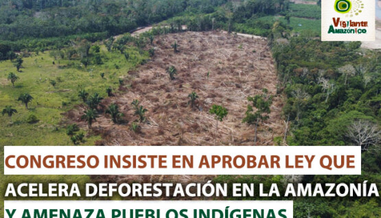 Congreso-insiste-en-aprobar-ley-que-deforesta-y-amenaza-la-Amazonia
