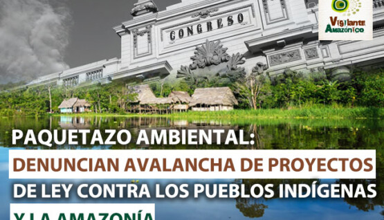 Denuncian-avalancha-de-proyectos-de-ley-contra-los-pueblos-indigenas-y-la-Amazonia