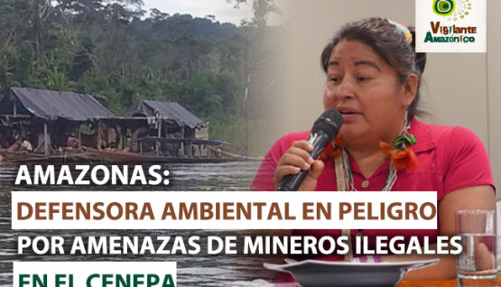 Defensora ambiental en peligro por amenazas de mineros ilegales