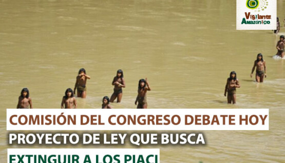 Comision-del-Congreso-debate-hoy-PL-que-busca-extinguri-a-los-PIACI