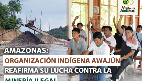 Organizacion-indigena-awajun-reafirma-su-lucha-contra-la-mineria-ilegal-
