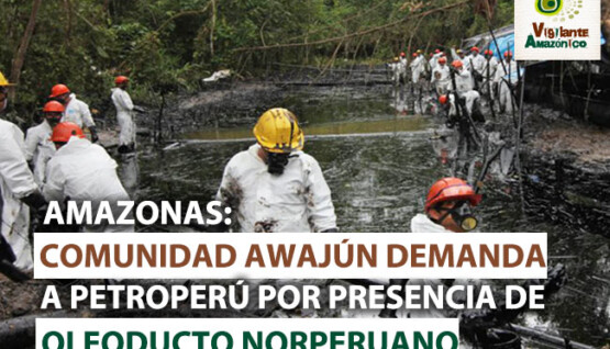 Amazonas-comunidad-awajun-demanda-a-petroperu