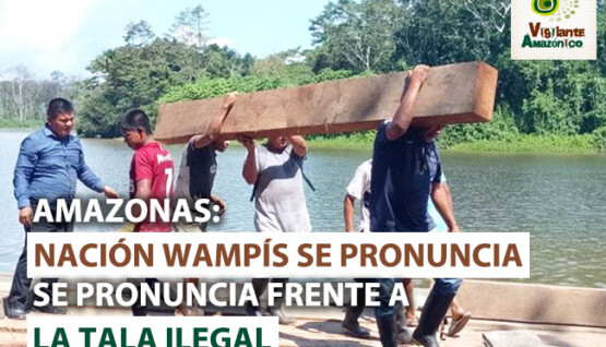 Nacion-wampis-se-pronuncia-frente-a-la-tala-ilegal-1