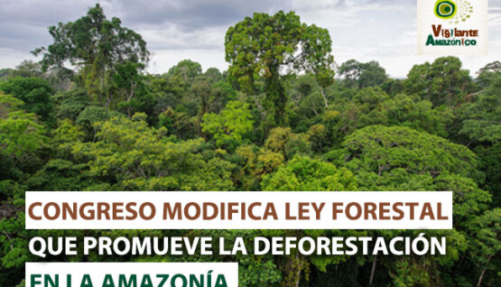 CONGRESO-MODIFICA-LEY-FORESTAL-Y-PROMUEVE-DEFORESTACION