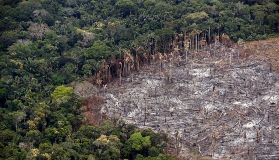AMAZONIA-EN-RIESGO-2024-EFE-VERDE