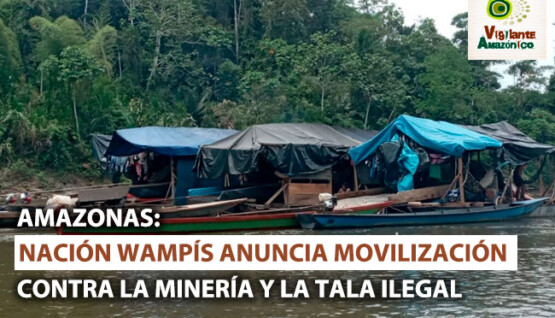 NACION-WAMPIS