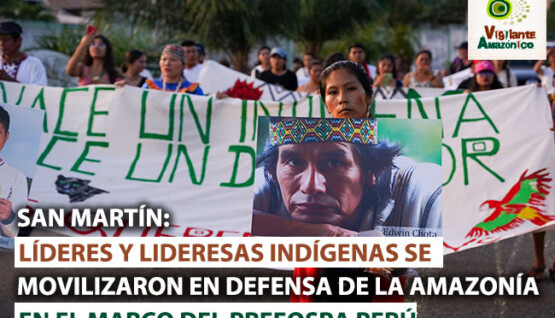Lideres-y-lideresas-indigenas-se-movilizaron-en-defensa-de-la-Amazonia