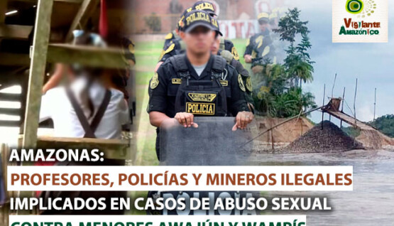 profesores-policias-y-mineros-ilegales-en-casos-de-abusos-contra-menores