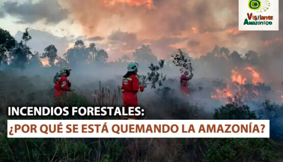 Amazonia-quemando-incendios-forestales-1.jpg