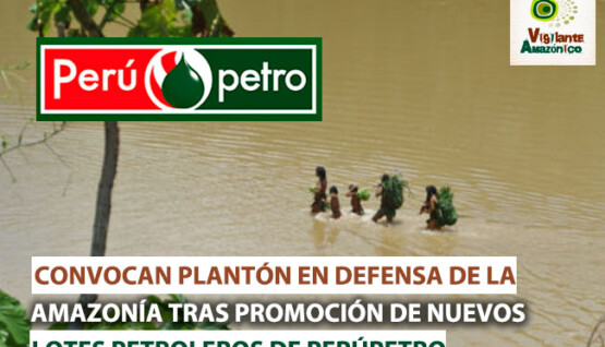 Convocan-planton-en-defensa-de-la-Amazonia