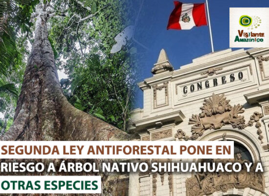 segunda-ley-antiforestal