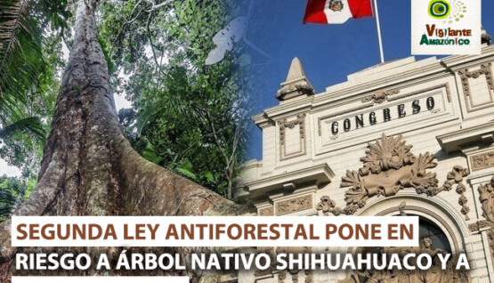 segunda-ley-antiforestal