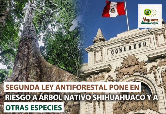 segunda-ley-antiforestal