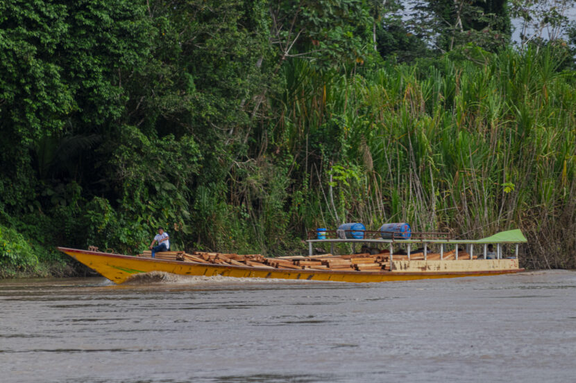 balsa-de-20-a-30-toneladas-con-madera-topa-en-rio-Santiago_Foto-por-Diego-Antonio-Benavente-Marchan-1