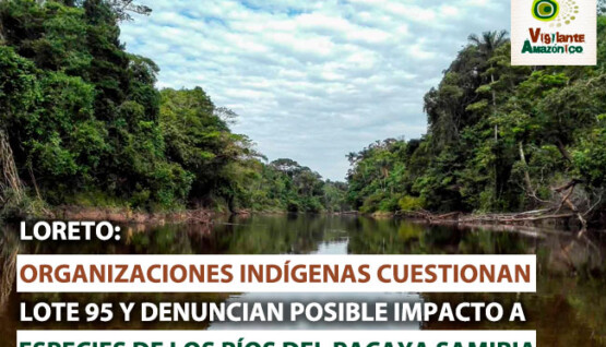 Cuestionan-lote-95-y-denuncian-posible-impacto-a-especies