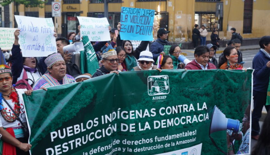 movilización aidesep