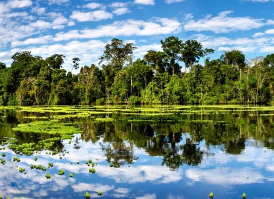 Amazonía peruana