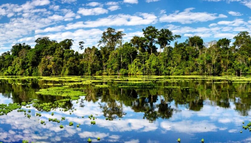 Amazonía peruana