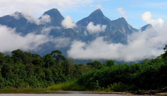 Cordillera del Cóndor - IDL