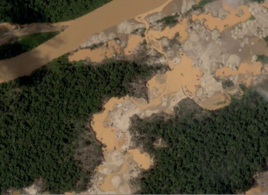 Tambopata ACCA