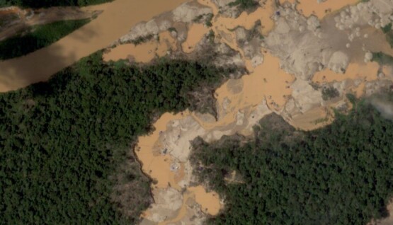 Tambopata ACCA