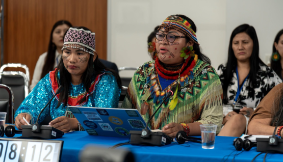 lideresas amazónicas denuncian ante la CIDH amenazas de muerte y abandono estatal