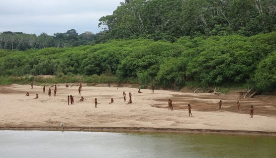 Pueblo Mashco Piro en Madre de Dios - Fenamad
